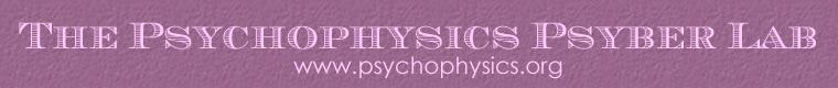 The Psychophysics Psyber Lab